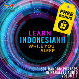 Indonesian Parallel Audio - Learn Indonesian with 501 Random Phrases using Parallel Audio - Volume 1