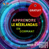 Néerlandais audio en parallèle - Facilement apprendre le Néerlandais avec 501 phrases en audio en parallèle - Partie 2